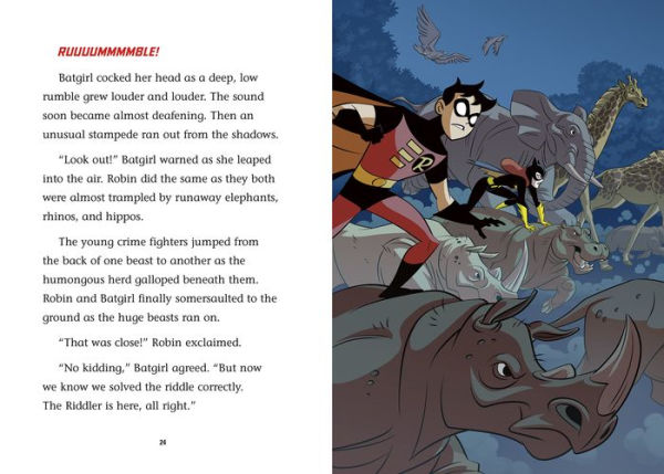 Batman and the Ultimate Riddle