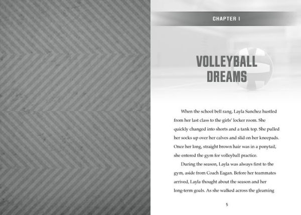 Volleyball Ace