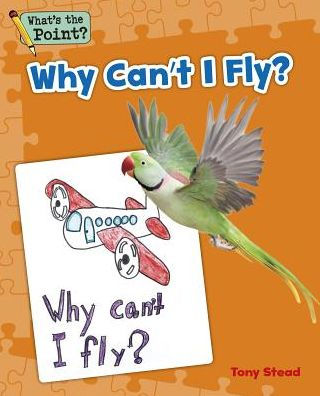 Why Can't I Fly?