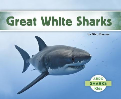 Great White Shark by Nico Barnes, Paperback | Barnes & Noble®