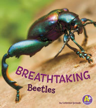 Title: Breathtaking Beetles, Author: Catherine Ipcizade