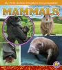 Mammals