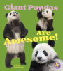 Giant Pandas Are Awesome!