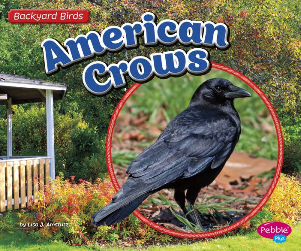 American Crows