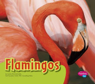 Title: Flamingos, Author: Cecilia Pinto McCarthy