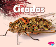 Title: Cicadas, Author: Lisa J. Amstutz