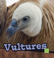 Title: Vultures, Author: Cecilia Pinto McCarthy