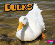 Title: Ducks, Author: Michelle Hasselius