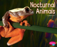 Title: Nocturnal Animals, Author: Abbie Dunne