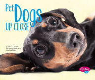 Title: Pet Dogs Up Close, Author: Erika  L. Shores