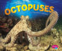 Octopuses