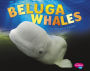 Beluga Whales