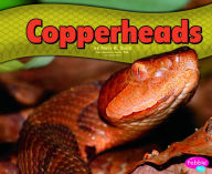 Title: Copperheads, Author: Mary R. Dunn