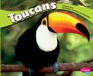 Title: Toucans, Author: Mary R. Dunn