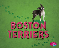 Title: Boston Terriers, Author: Allan Morey