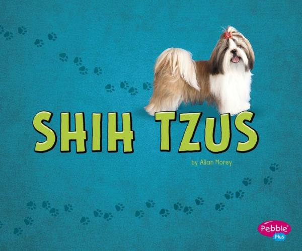 Shih Tzus