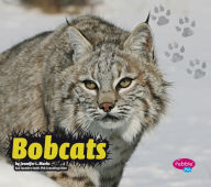 Title: Bobcats, Author: Jennifer L. Marks