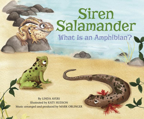 Siren Salamander: What Is an Amphibian?