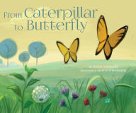 Title: From Caterpillar to Butterfly, Author: Steven Anderson