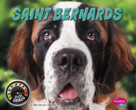 Title: Saint Bernards, Author: Nikki Bruno Clapper