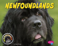 Title: Newfoundlands, Author: Allan Morey