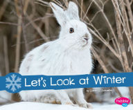 Title: Let's Look at Winter: A 4D Book, Author: Sarah L. Schuette