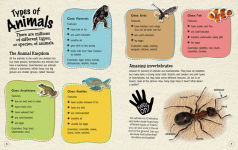 Alternative view 4 of Animals