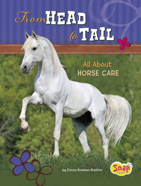 From Head to Tail: All About Horse Care