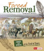 Forced Removal: Causes and Effects of the Trail of Tears