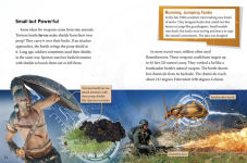 Alternative view 2 of Beastly Firepower: Military Weapons and Tactics Inspired by Animals