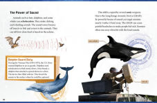Alternative view 4 of Beastly Firepower: Military Weapons and Tactics Inspired by Animals