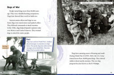 Alternative view 3 of Beasts on the Battlefield: Animals in Combat