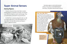 Alternative view 4 of Beasts on the Battlefield: Animals in Combat