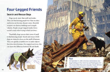 Alternative view 5 of Beasts on the Battlefield: Animals in Combat