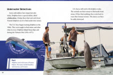 Alternative view 6 of Beasts on the Battlefield: Animals in Combat