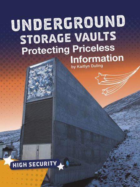 Underground Storage Vaults: Protecting Priceless Information