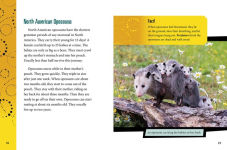 Alternative view 3 of Unusual Life Cycles of Mammals