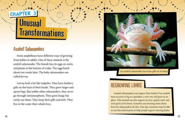 Unusual Life Cycles of Amphibians
