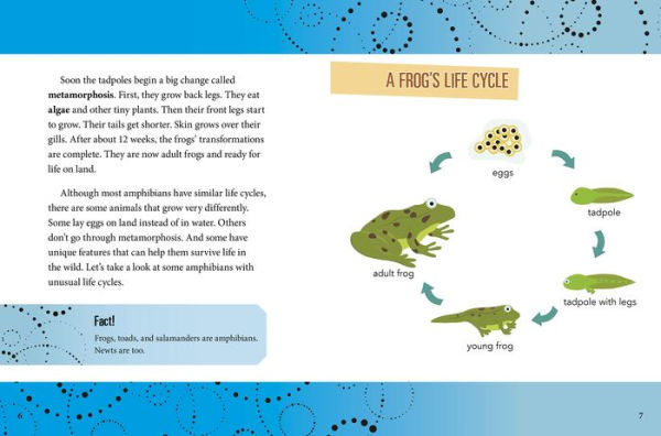 Unusual Life Cycles of Amphibians