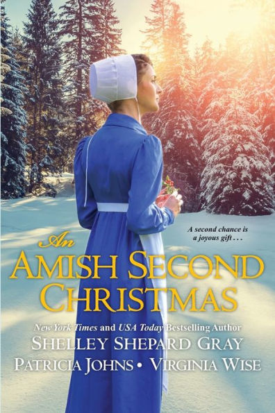 An Amish Second Christmas