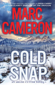 Free audio books download cd Cold Snap 9780786047642