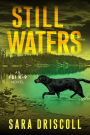 Still Waters: A Riveting Novel of Suspense