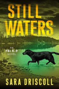 Title: Still Waters: A Riveting Novel of Suspense, Author: Sara Driscoll