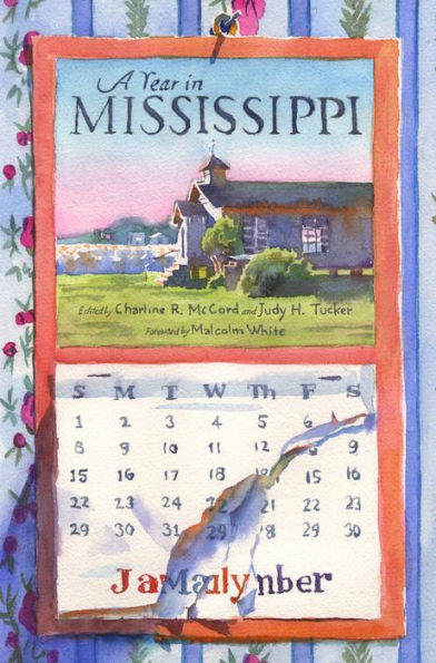 A Year in Mississippi