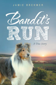 Title: Bandit's Run: A True Story, Author: Jamie Brehmer