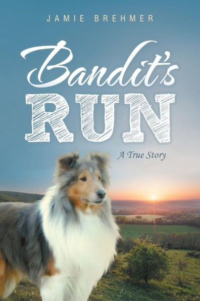 Bandit's Run: A True Story
