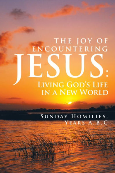 The Joy of Encountering Jesus:: Living God'S Life in a New World