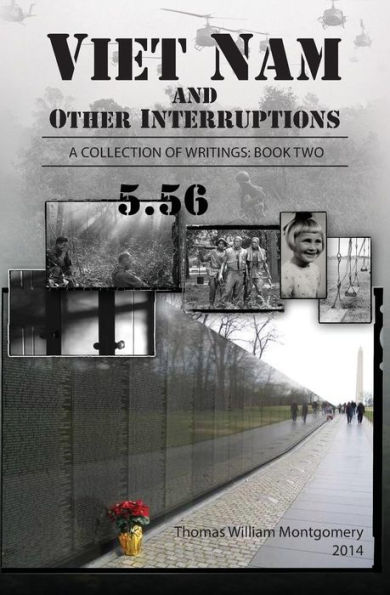 Viet Nam and Other Interruptions: Viet Nam and Other Interruptions A Collection of Writings: Book 2