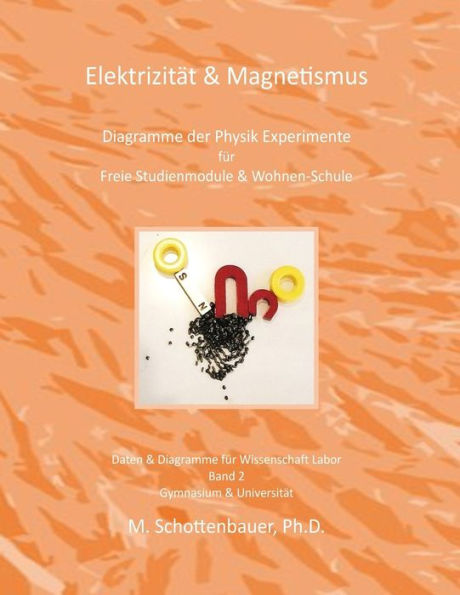 Elektrizität & Magnetismus: Band 2: Diagramme der Physik Experimente für Freie Studienmodule & Wohnen-Schule