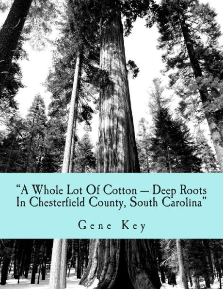 "A Whole Lot Of Cotton --- Deep Roots In Chesterfield County, South Carolina": The Cotton Family